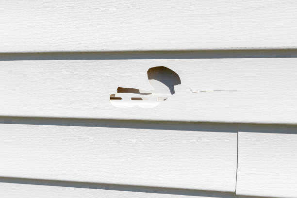 Best Siding Removal and Disposal  in Keene, TX